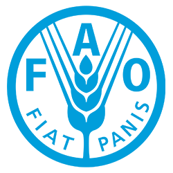 FAO CIESIORG EIRL